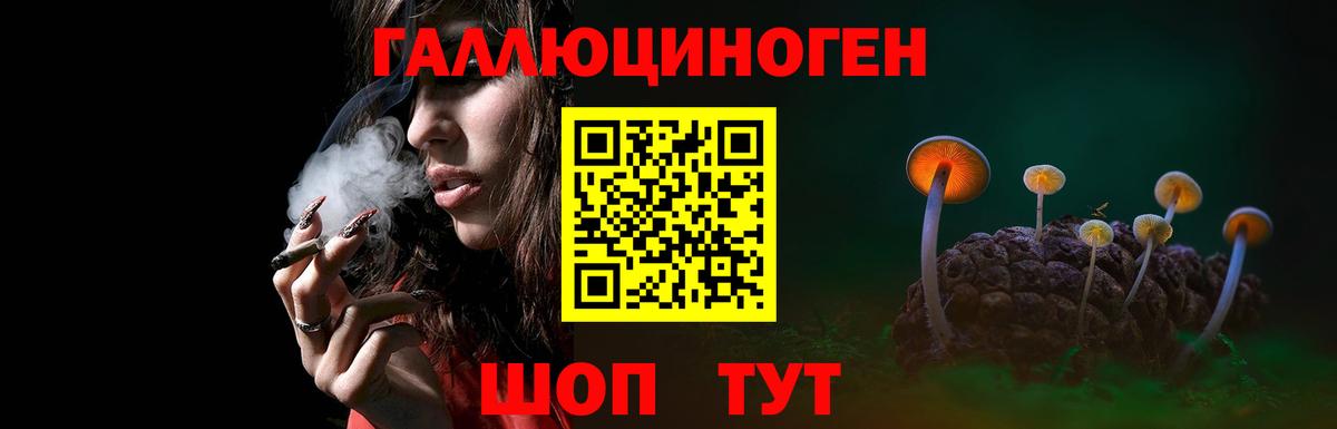 Галлюциногенные грибы Cubensis Кирово-Чепецк